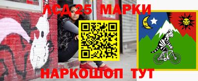 дмт Новодвинск