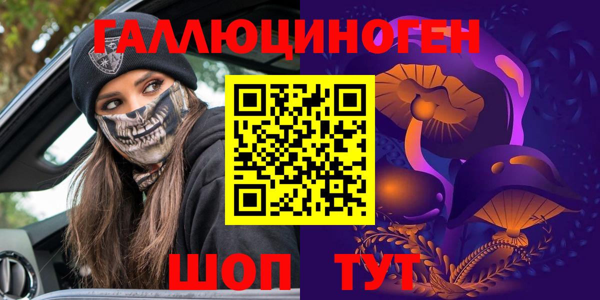Черногорск  Галлюциногенные грибы Psilocybe  Вход с VPN 